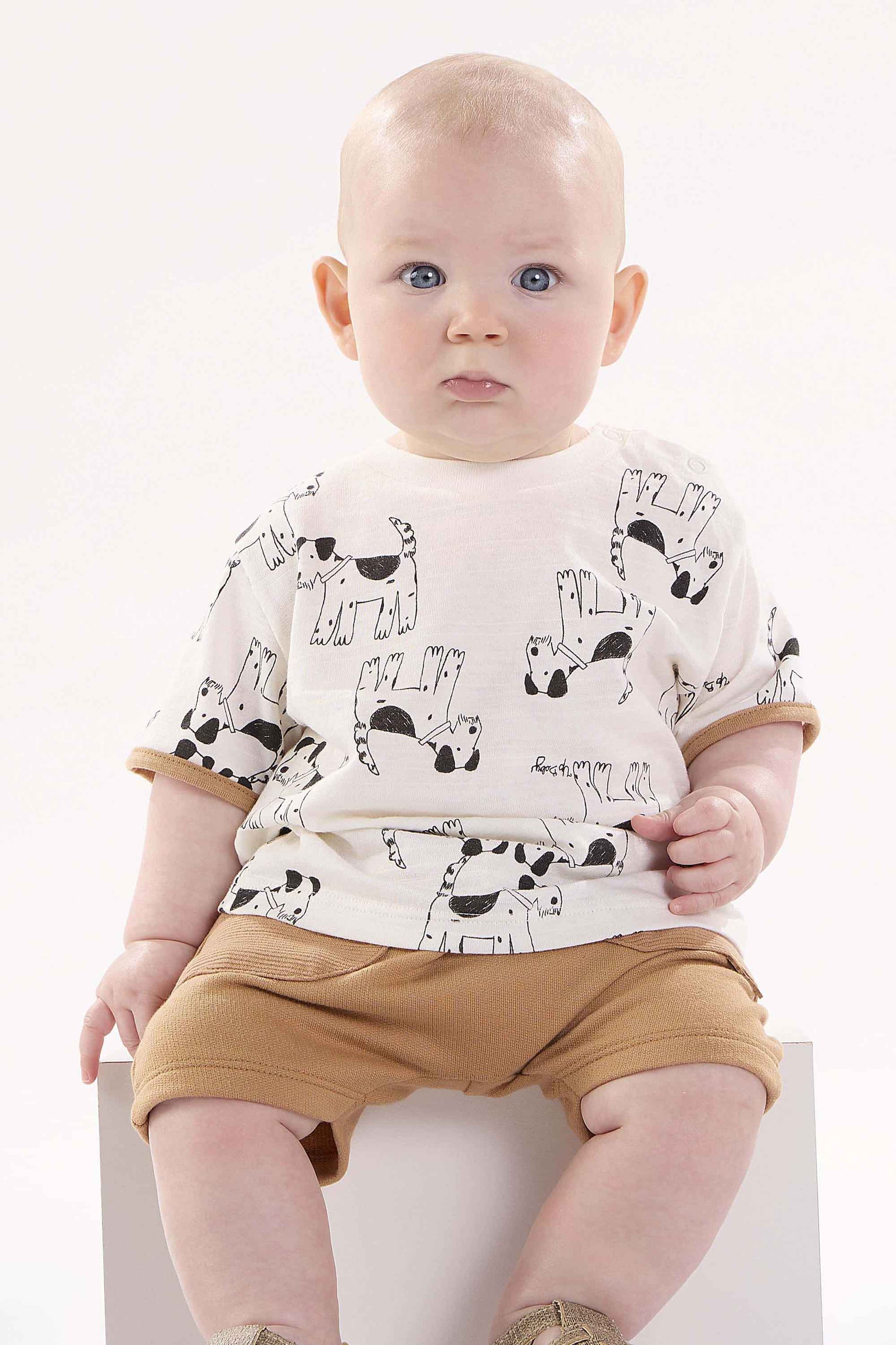 Conjunto para Bebê Camiseta e Bermuda Dogs — foto 1